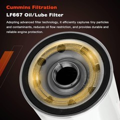 Volvo D12 Oil Fuel Filter Kit LF667 LF3654 FF5507 2x
