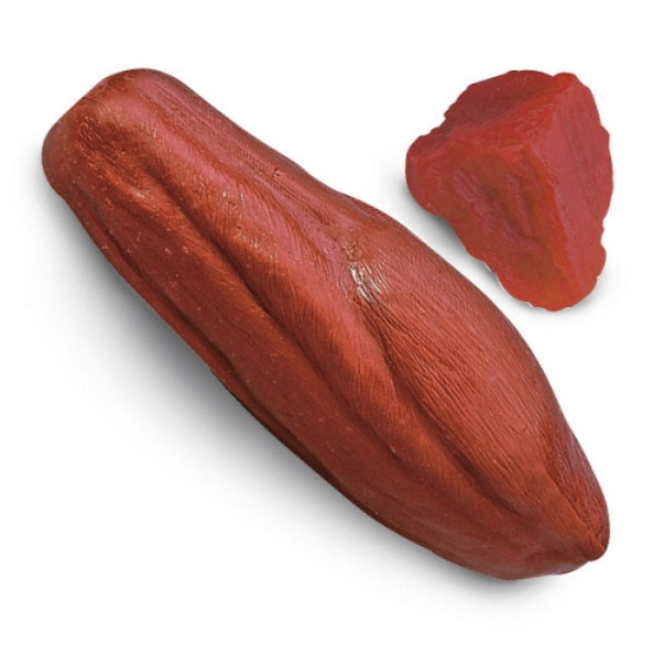 5 Lb. Enhanced Muscle Replica