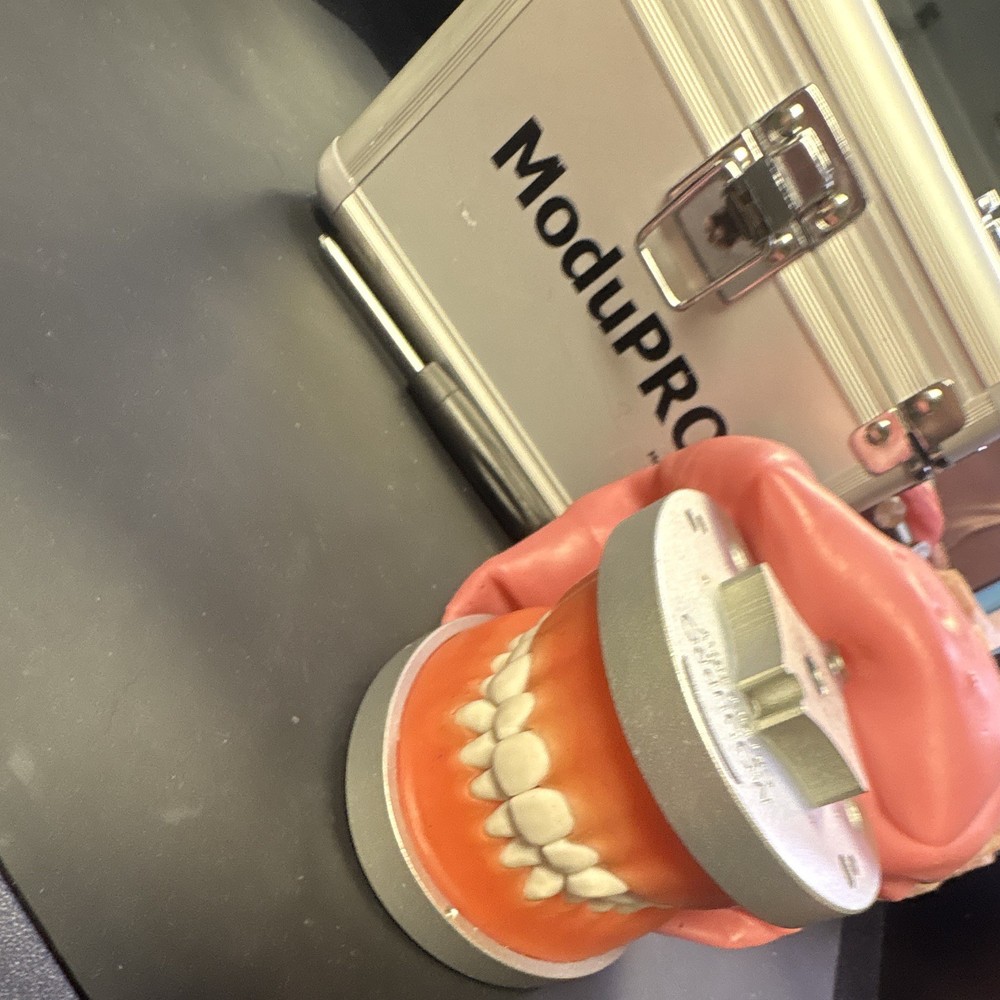 ModuPRO Dental Hygiene Plus Typodont Practice Model Jaw Dentistry MP-DH520_O