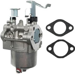 LIZAPUS Carburetor Compatible with Coleman Powermate Generator 5000 6250W PM0…