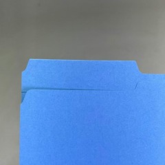 SMEAD (100 PACK) Color File Folders W/ Reinforcement Tabs 1/3 Cut Blue 12034