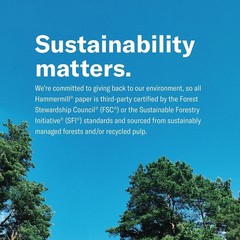 Hammermill 8.5″ x 11″ Premium Color Copy Paper 100 Brightness 2500 Sheet/Carton