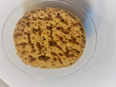 Orange Peel & Knockdown Texture Combo Sponge for Easy Wall Finishing