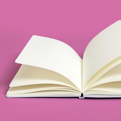 PAPERAGE Blank Journal Notebook (Green) 160 Pages Medium 5.6 in x 8 in 100 GSM