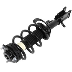 Front Quick Strut Assembly Pair Dodge Journey 2009-2019 172509 172510