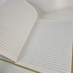 Vintage Federal Supply Service Record Book Set Of 2 Green Cloth Ruled Paper