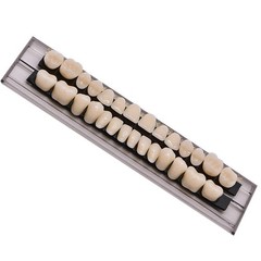 28 Pcs Dental Denture Acrylic Temporary Crown Resin Full Teeth Upper Tool A2/A3