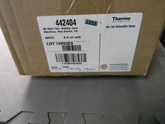 Thermo 442404 Clear Flat-Bottom Immuno Nonsterile 96-Well Plates 0.4 mL, 60/CS