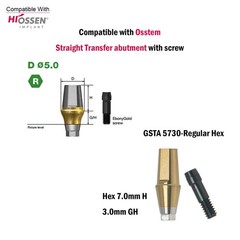 Dental Titanium Straight Abutment Ti Cemented Abutment Fits to Osstem Hiossen TS