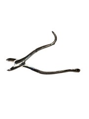 Harris Forceps No.18R F18R HU FRIEDY