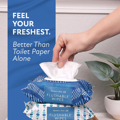 Member’s Mark Flushable Wipes, Scented, 540 Count – Hypoallergenic Fresh Scent