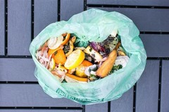 6-8 Gallon Compostable Trash Bags by BioBag, 45 Count, BPI Certified, Meets A…