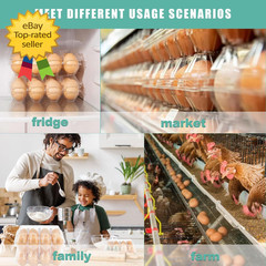100 Pack Plastic Egg Cartons Clear 12 Grid Storage Boxes for Farm Market Use Pro