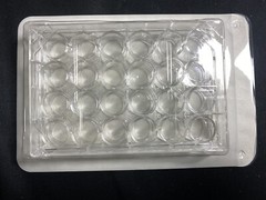 VWR Polystyrene 24-Well Sterile Treated Cell Culture Plates 10062-896 (10/cs)