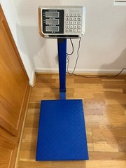 Leadzm 300kg G7S Blue Electronic Scale – Shipping scale for business