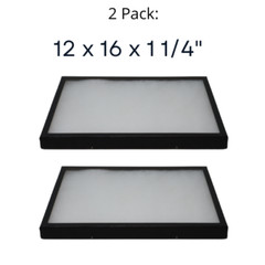 2 Pack of 12 x 16 x 1 1/4 Riker Display Cases Boxes for Collectibles Arrowheads