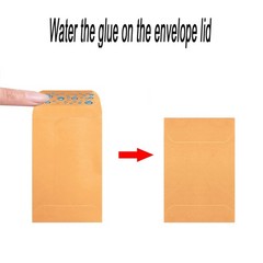 500 Pack Brown Coin Envelopes 3.5×6.5″ Kraft Self-Adhesive for Cash, Cards, Seed