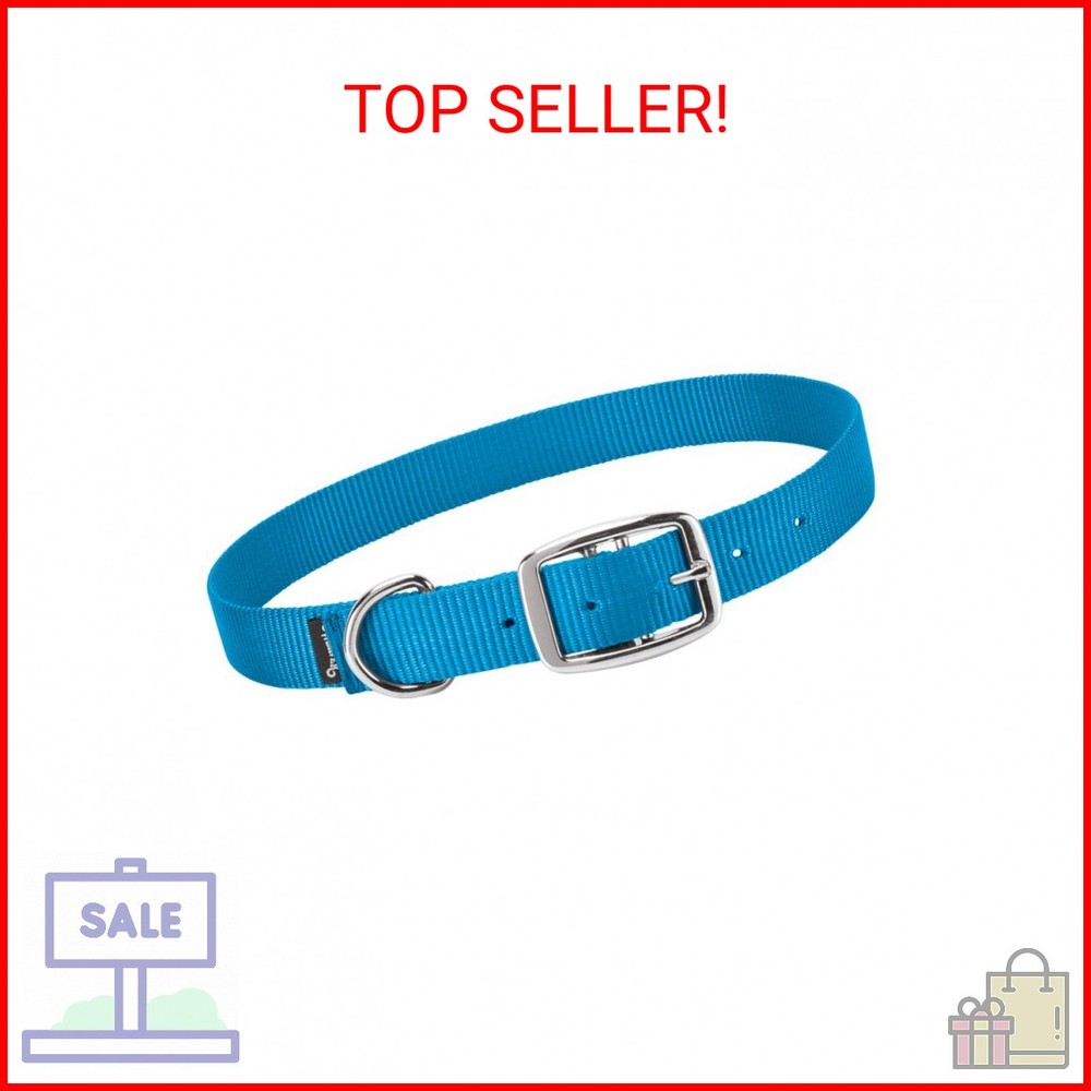 Weaver Leather Livestock Goat Collar, Hurricane Blue, Small