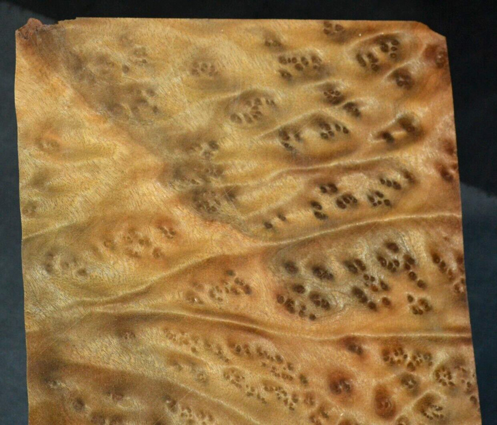 Camphor Burl Raw Wood Veneer Sheet 7 x 12 inches 1/42nd thick 4672-78