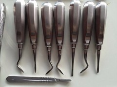 32 Pcs ORAL DENTAL EXTRACTION SURGERY EXTRACTING ELEVATORS FORCEPS INSTRUMENTS