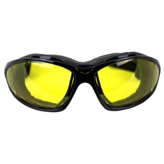 Birdz Eyewear Thrasher Padded Motorcycle Glasses for Men & Women Black Frame