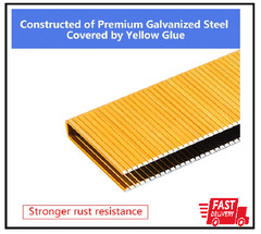 18 Gauge 1/4″ Narrow Crown Staples (1″, 3/4″, 1/2″), Assorted 1200 Counts
