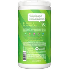Method Lime & Sea Salt All Purpose Cleaning Wipes, 70 CT 70 Count (Pack of 1)