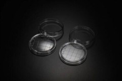 SPL Contact Plate (RODAC) 60.00 x 15.00 mm Flat Bottom, Sterile 500/Case