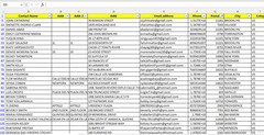 250K NEW YORK USA Customers Email Database B2C Contact Leads 2026 – Excel file
