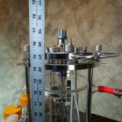 4L Sartorius-Type Jacketed Double Wall Glass Bioreactor Fermenter Vessel
