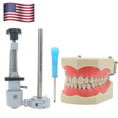 Columbia Dentoform 860 Dental Typodont Mounting Pole With 32pcs Removable Teeth