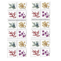 United States Postal Service Winter Berries 2 Books Of 20 First Class Forever