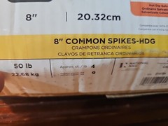 PRO-FIT8 in. 50 lbs. Hot Dipped Galvanized Common SpikeNail (200-Count)