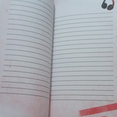 Balzer + Bray Find Your Voice, Make Some Noise Journal Illustrated