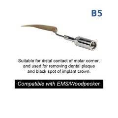 Ultrasonic Dental Scaler Tip Cleaning Implant Dental Orthodontic Teeth Dentures
