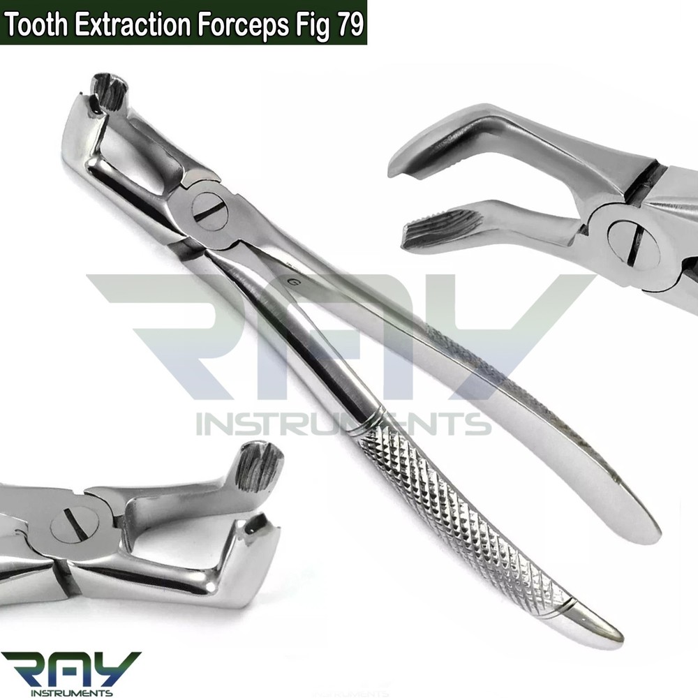 Surgical Tooth Extraction Forceps Fig.79 Dental Lower Wisdom Extracting Pliers