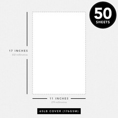 Pulsar Pink Bright Color Cardstock, 65lb Cover (176GSM), 11 x 17, 50 Sheets
