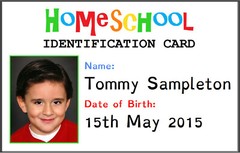 Custom Printed PVC Card Name Badge Printed PVC Plastic Credit Card Sized
