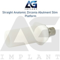 Zirconia Straight Anatomic Prosthetic Slim Titanium Base Hexagon 2.0mm