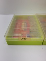 Vintage Paracraft Prepared Microscope Slides Sets 401 403 404 Sea Life Insect