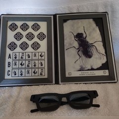Titmus Fly Stero Fly Book & 1 Pair Of Stereo Glasses Ophthalmology Optometry