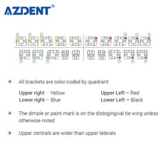 U46908 AZDENT Dental Orthodontic Arch WiresBrackets Braces Mini RothMBT G1N