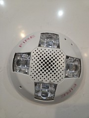 Edwards GCAV EGCAV Horn Strobe