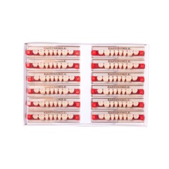 84/96pcs Dental Acrylic Resin Denture Teeth Upper Lower Full Set Shade A1/A2/A3