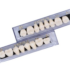 168Pcs Acrylic Resin Denture #22 Dental Upper Lower Shade A1 Teeth Set US