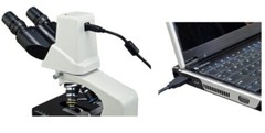 40X-2000X Built-in 3MP Camera Binocular Compound Siedentopf LED Microscope