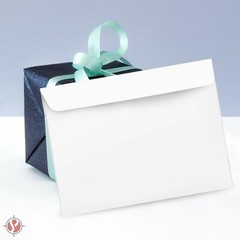 6 x 9 White Booklet Envelopes, 28w(105gsm), Gummed Seal, 100 per Pack