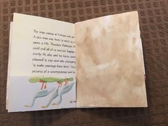 Handmade Naked Junk Journal 5-1/2” x 4-1/4” Mushroom & Leaves Print Cover