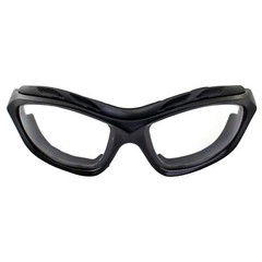 Birdz Eyewear Canopy Padded Motorcycle Sunglasses Riding Safety Glasses ANSI