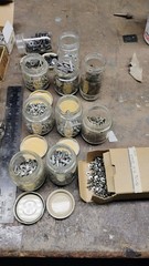 50 POUNDS OF ASSORTED TINNERS RIVETS AND OTHERS. TAKE THEM ALL.